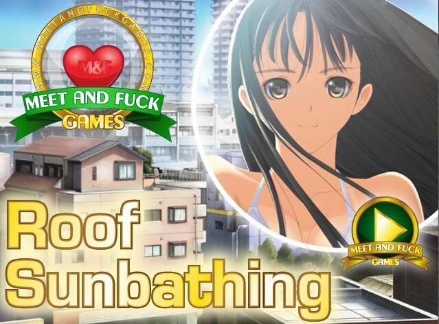 Flash 小游戏100 IN 1 全是英文限制版 附带FLASH播放器-次元小屋