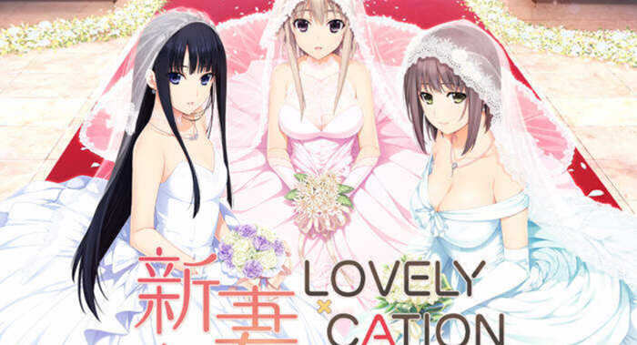 新妻LOVELY×CATION 精翻汉化版+全CG存档 大型ADV游戏-次元小屋