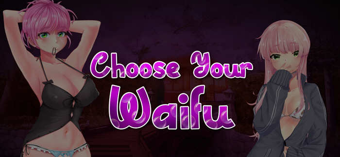 秘密（Waifu Secret 2） V1.01 官方中文版 休闲益智游戏-次元小屋