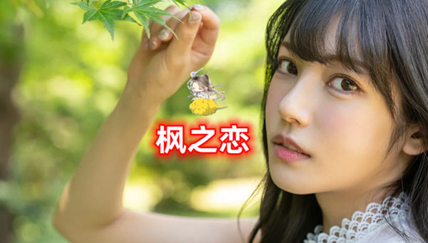 枫之恋 ver1.0 官方中文版 PC+安卓 SLG游戏&新作 2.1G-次元小屋