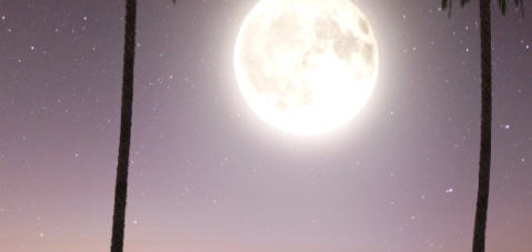 d/file/p/2022-12-21/16715912653.jpg Snap595.jpg