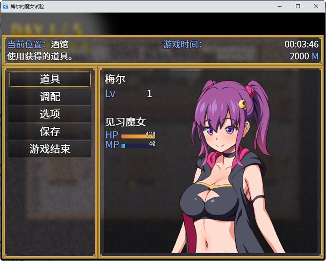 图片[6]-梅尔的魔女试验 官方中文版整合所有DLC PC+安卓 RPG游戏 950M-次元小屋