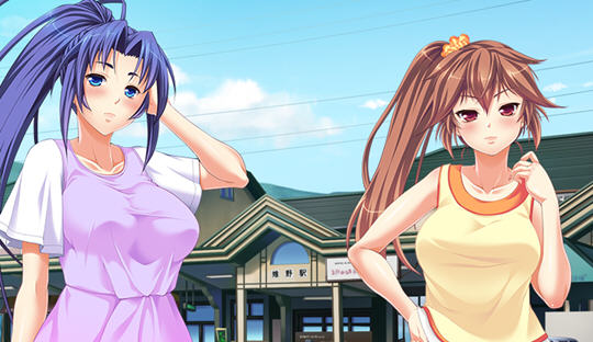 鸟笼里的公主:绝对孕育的姐妹喜悦 云汉化版 ADV游戏+全CG 2.7G-次元小屋