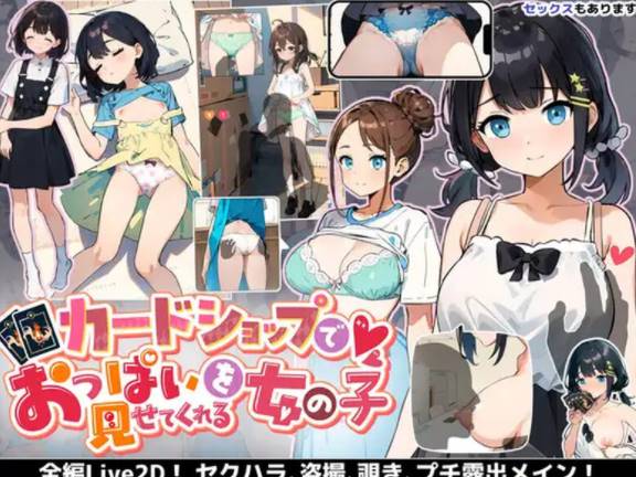 【SLG/互动/8月新作】在卡牌店里展示胸部的女生（カードショッ... [PC+1.7G]-次元小屋